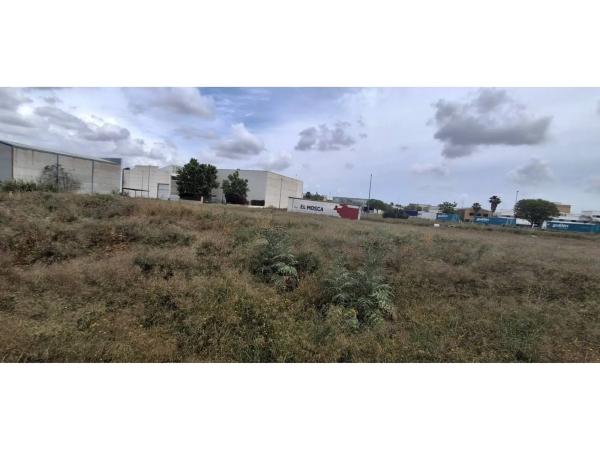 Terreno en Zona Centro