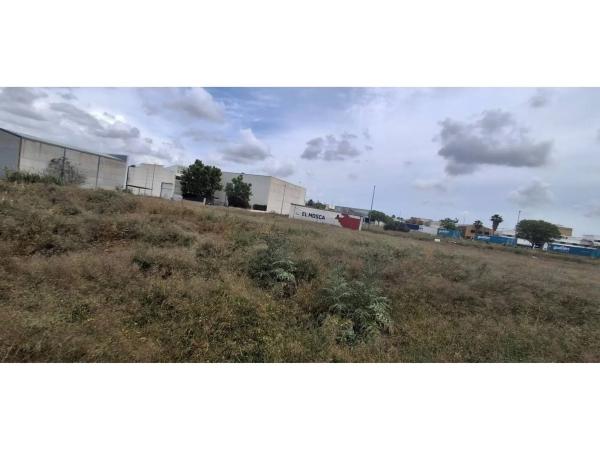 Terreno en Zona Centro