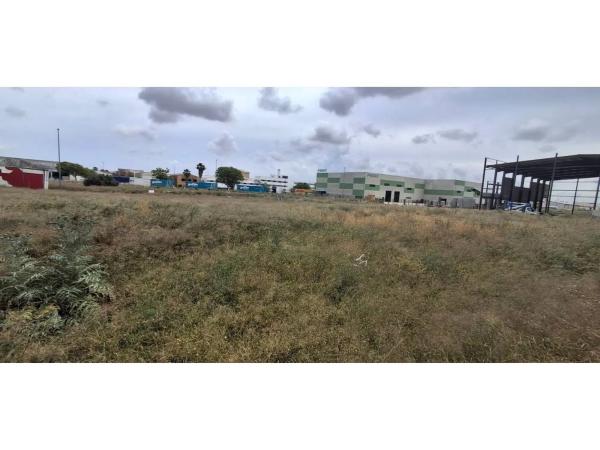 Terreno en Zona Centro