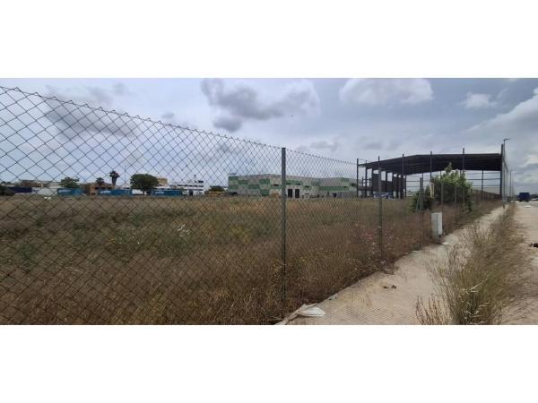 Terreno en Zona Centro