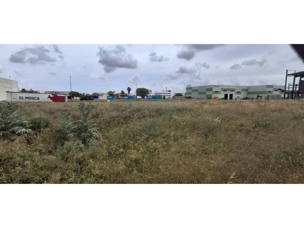 Terreno en Zona Centro