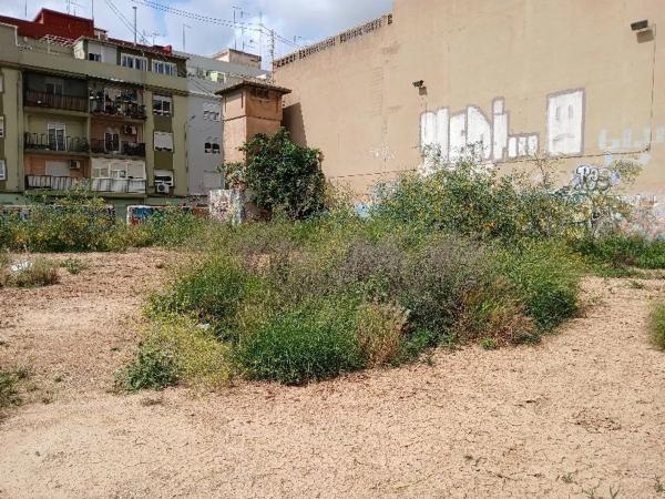 Terreno en calle Jaime el Conquistador