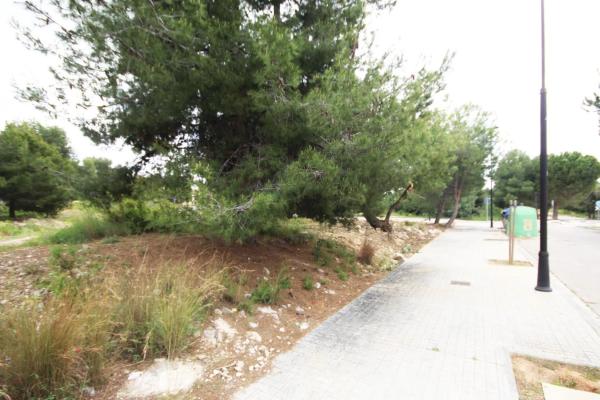 Terreno en Barrio Santa Apolonia