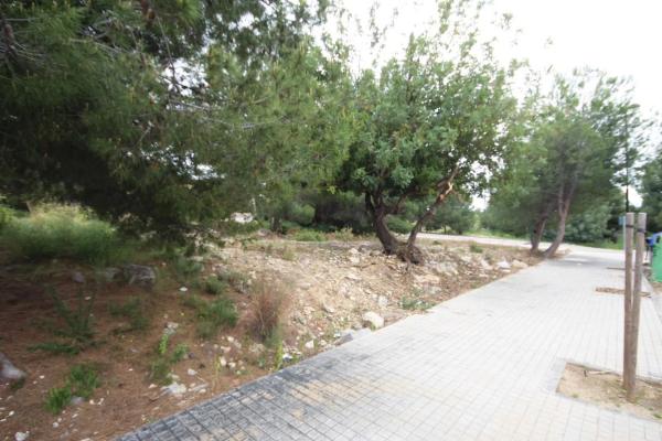 Terreno en Barrio Santa Apolonia