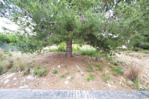 Terreno en Barrio Santa Apolonia