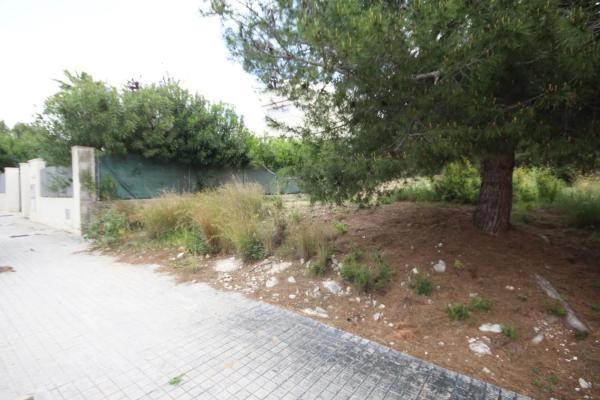 Terreno en Barrio Santa Apolonia