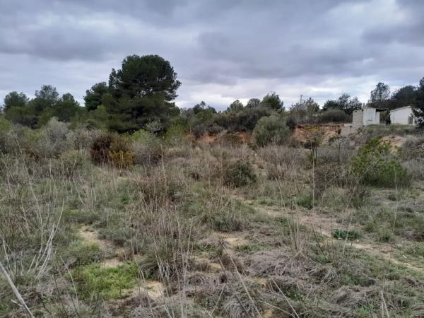 Terreno en calle Barrachina