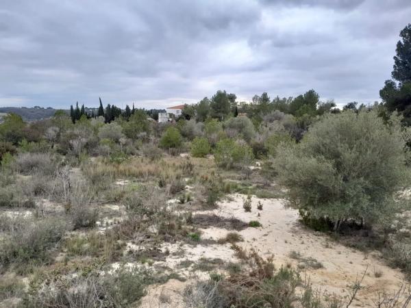 Terreno en calle Barrachina