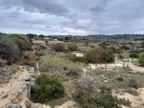 Terreno en calle Barrachina