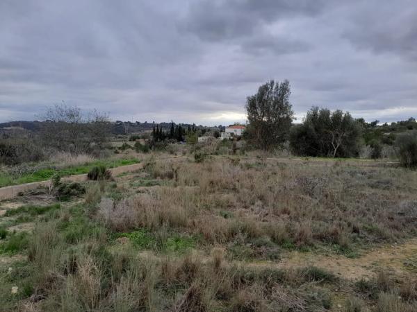 Terreno en calle Barrachina