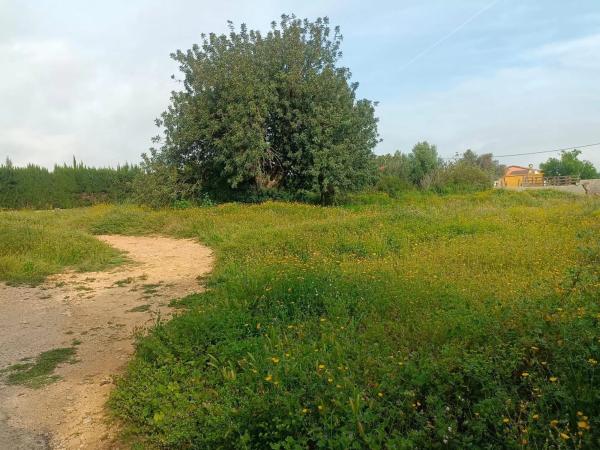Terreno en Barrio Font del Teula - Mas de Pavia