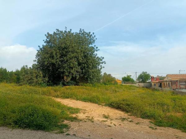 Terreno en Barrio Font del Teula - Mas de Pavia