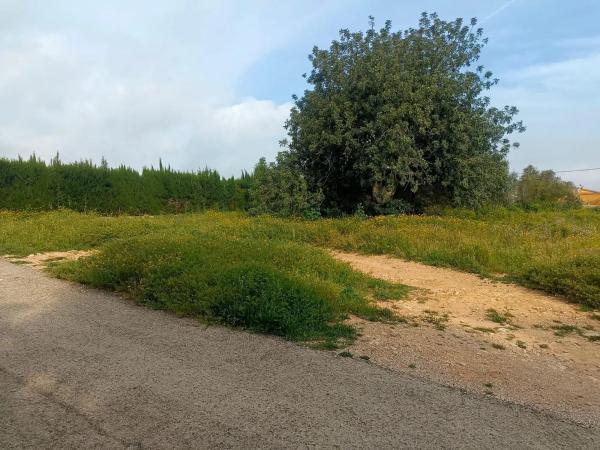Terreno en Barrio Font del Teula - Mas de Pavia