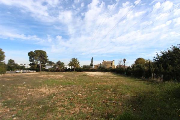 Terreno en plaza de la Hiedra