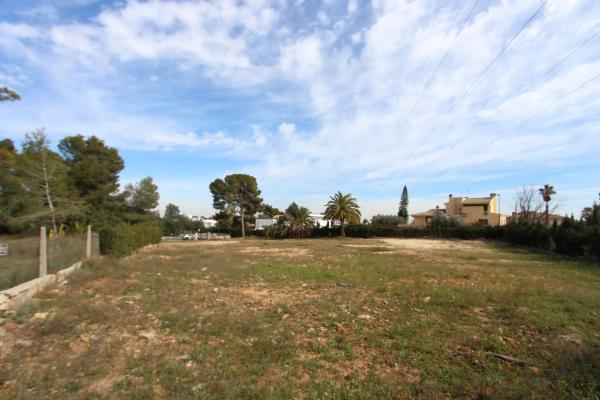 Terreno en plaza de la Hiedra