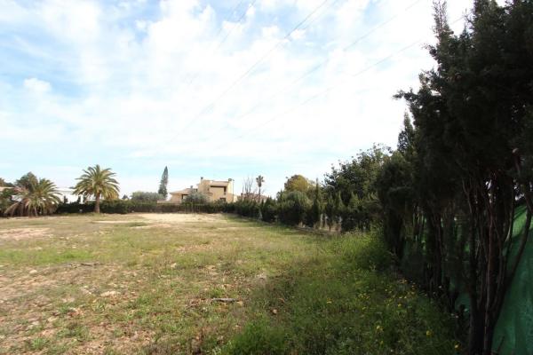 Terreno en plaza de la Hiedra