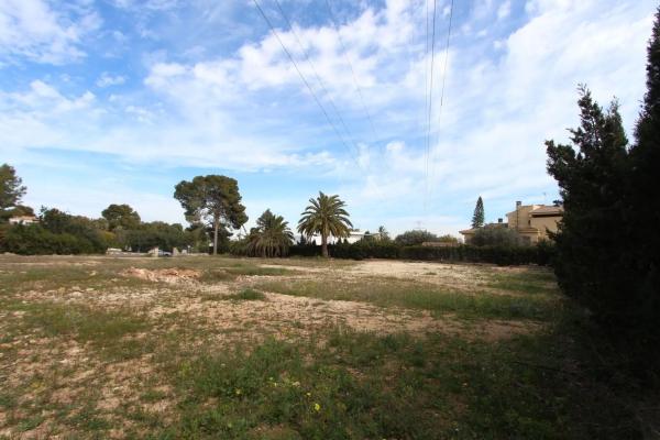 Terreno en plaza de la Hiedra