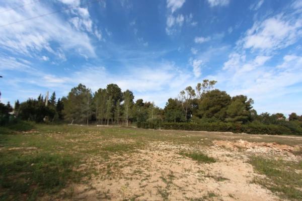 Terreno en plaza de la Hiedra