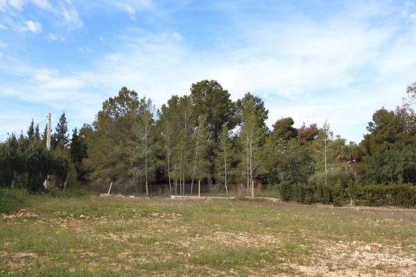Terreno en plaza de la Hiedra