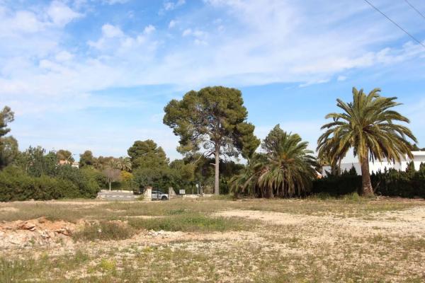 Terreno en plaza de la Hiedra