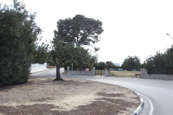 Terreno en plaza de la Hiedra
