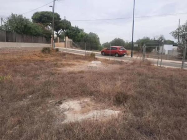 Terreno en Zona Parc Central - Hort de Trenor