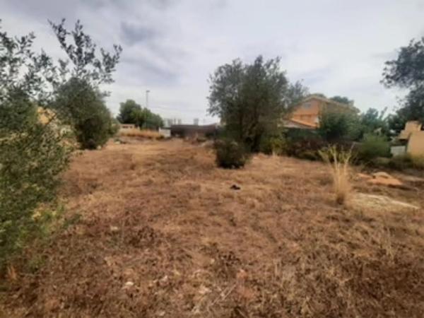 Terreno en Zona Parc Central - Hort de Trenor