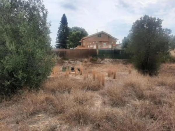 Terreno en Zona Parc Central - Hort de Trenor