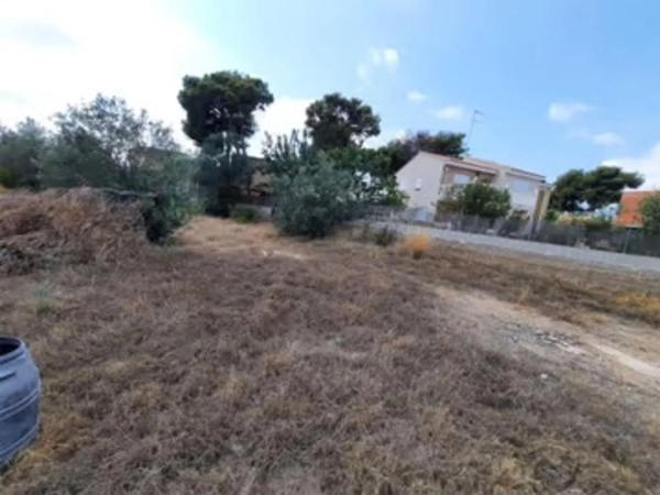 Terreno en Zona Parc Central - Hort de Trenor