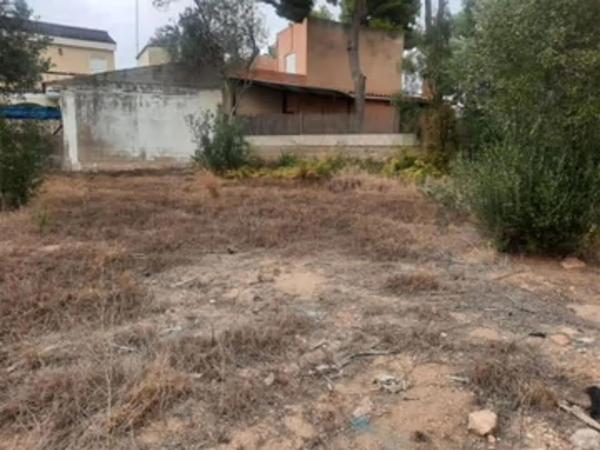 Terreno en Zona Parc Central - Hort de Trenor
