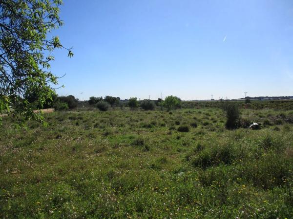 Terreno en calle de la Perdiu