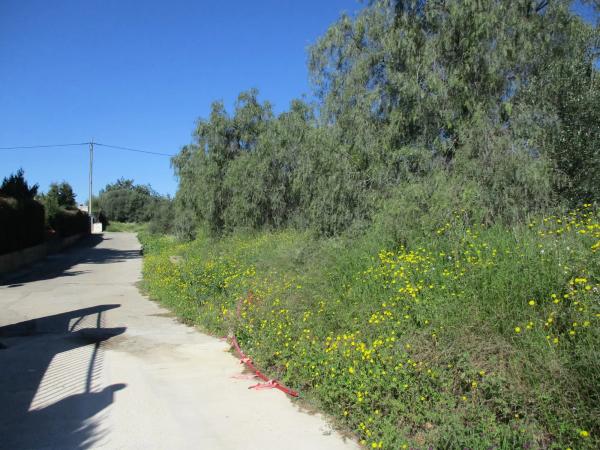 Terreno en calle del Pi Roig