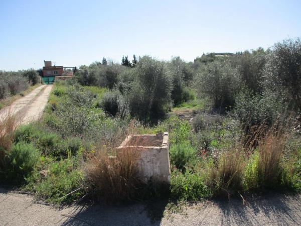 Terreno en calle del Pi Roig