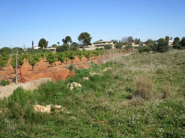 Terreno en calle de la Perdiu