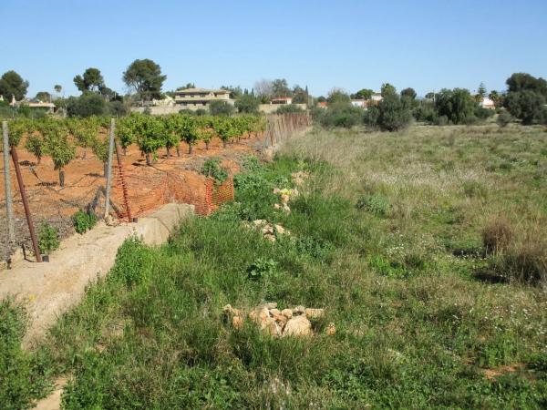 Terreno en calle de la Perdiu