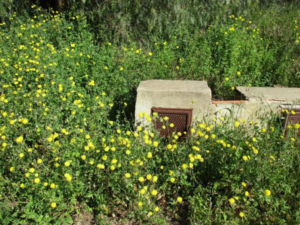 Terreno en calle del Pi Roig