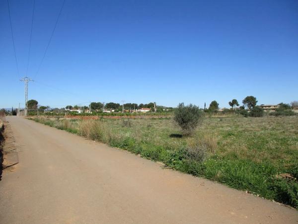Terreno en calle de la Perdiu