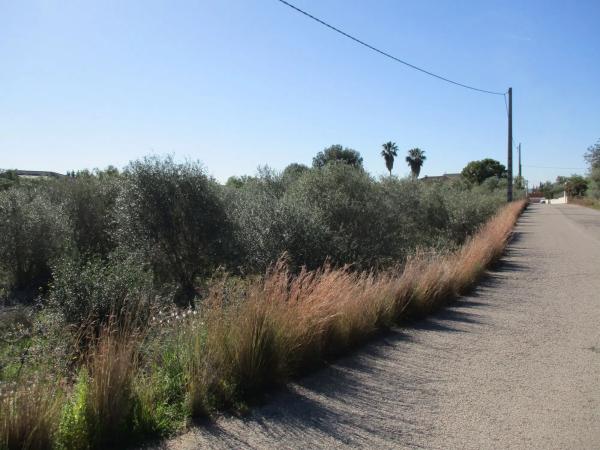 Terreno en calle del Pi Roig