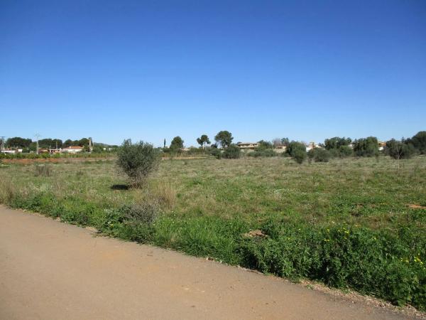 Terreno en calle de la Perdiu