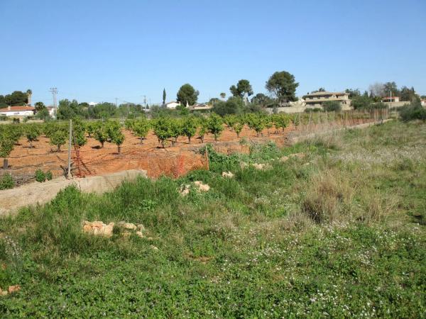 Terreno en calle de la Perdiu