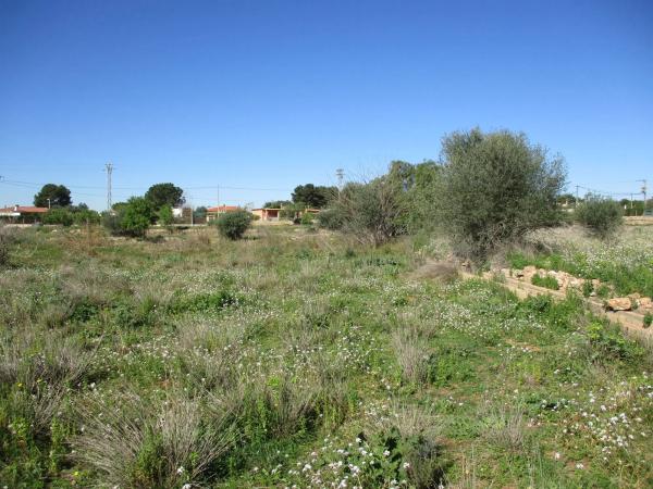 Terreno en calle de la Perdiu