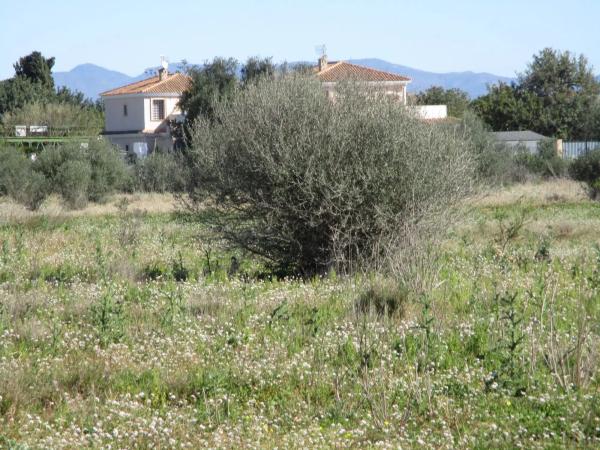 Terreno en calle de la Perdiu