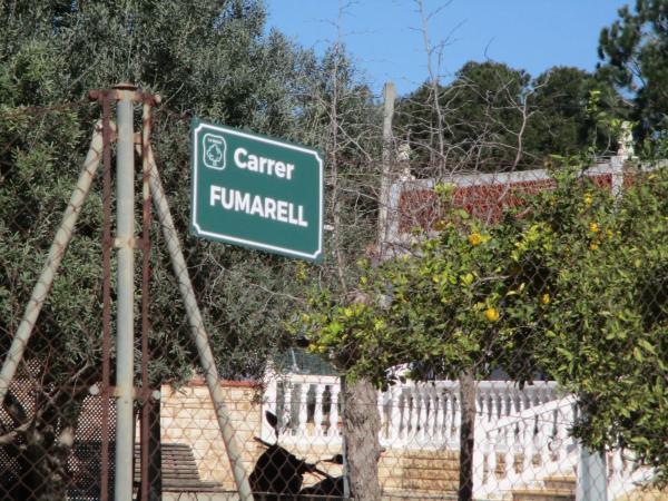 Terreno en calle de la Perdiu