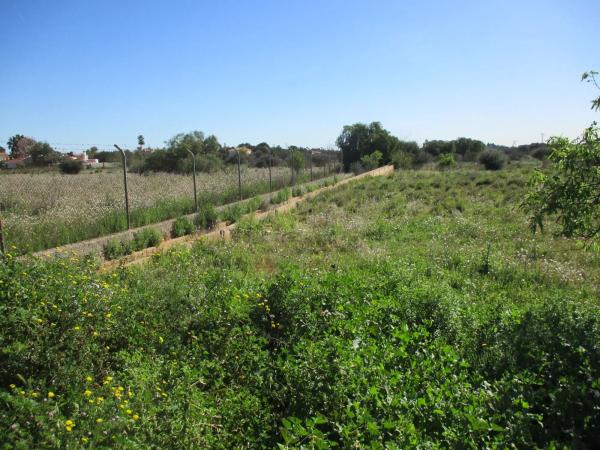 Terreno en calle de la Perdiu