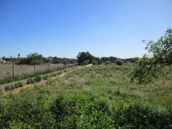Terreno en calle de la Perdiu