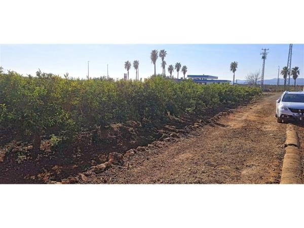 Terreno en Disseminat Polígon 37, 73 -75