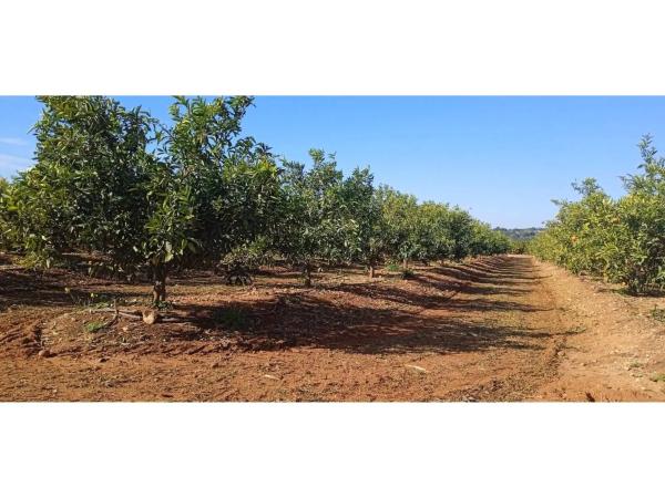 Terreno en Disseminat Polígon 37, 73 -75