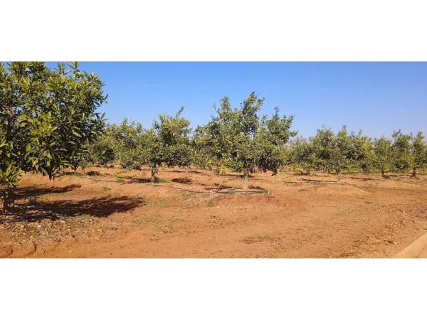 Terreno en Disseminat Polígon 37, 73 -75