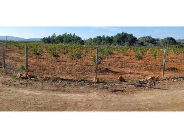 Terreno en Disseminat Polígon 37, 73 -75