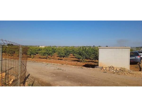 Terreno en Disseminat Polígon 37, 73 -75